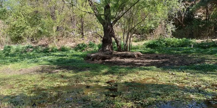 Villa Carlos Paz