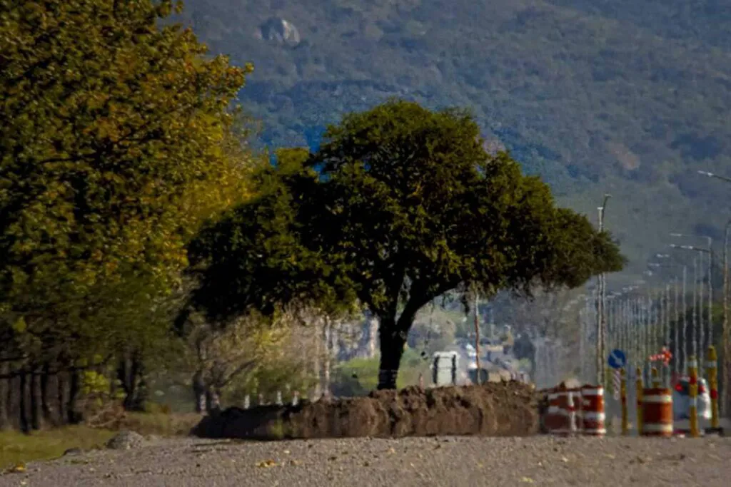2025 - Quebracho Blanco Villa Allende