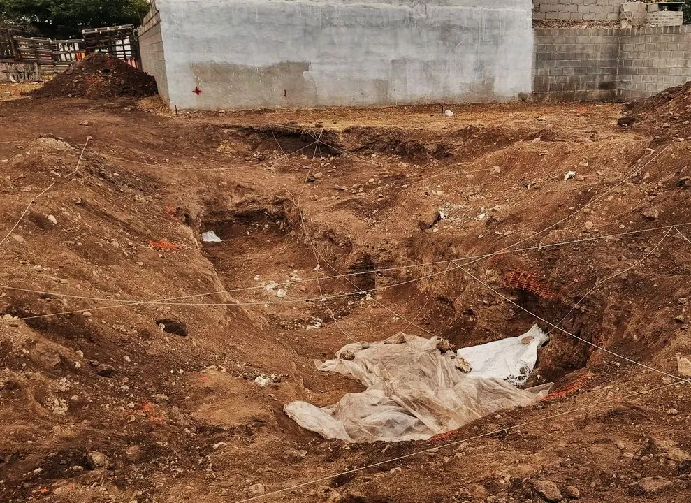 2025- Campo de la ribera