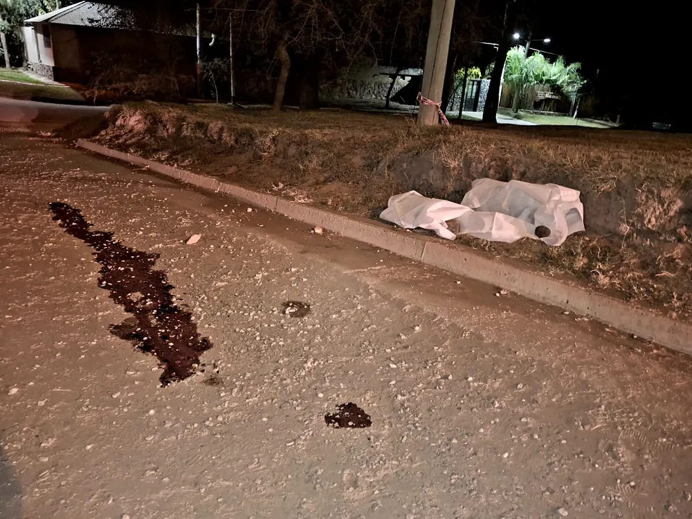 2025 - Villa Ribera Indarte Chico muerto