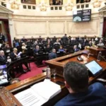 El Senado rechazó cinco DNU del Gobierno y se aprestan a aprobar la Emergencia Pediátrica y el financiamiento universitario