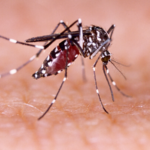 Córdoba amplía la vacunación contra el dengue a adolescentes de 15 a 17 años en 13 departamentos