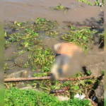 Hallan el cuerpo sin vida de un hombre a orillas del río Suquía