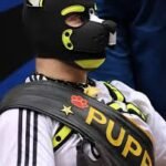 Walk Puppys la nueva tendencia en Bélgica