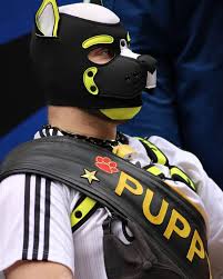 Walk Puppys la nueva tendencia en Bélgica