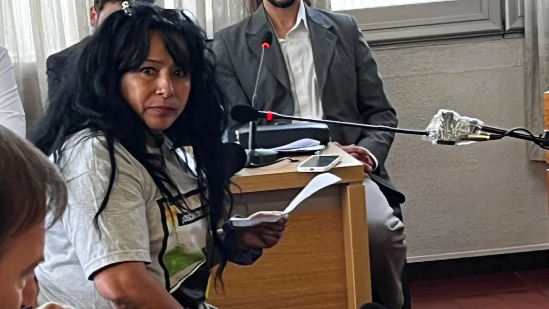 «No es un accidente, es un crimen vial»: el desgarrador testimonio de una madre en el juicio por la tragedia de Altas Cumbres