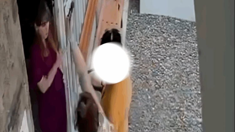 Brutal agresión a veterinaria en Córdoba: la golpearon con una tenaza por la muerte de unos conejos