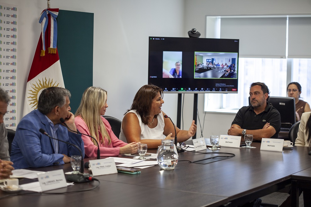 Despacho favorable para crear una campaña de prevención de partos prematuros