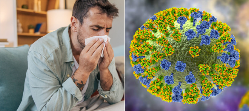 CONFIRMAN TRES CASOS DE INFLUENZA A(H3N2) DEL SUBCLADO K EN ARGENTINA