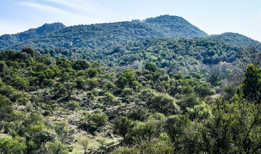 Villa Allende: convocan al Segundo Gran Abrazo a la Reserva Natural Supaj Ñuñu