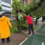 Jornada trágica en Córdoba: una mujer murió atropellada y una tormenta causó destrozos en la ciudad