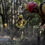 ALARMA EN CHUBUT: REACTIVACIÓN DE INCENDIOS FORESTALES AMENAZA EL PARQUE NACIONAL LOS ALERCES Y PONE EN ALERTA A ESQUEL