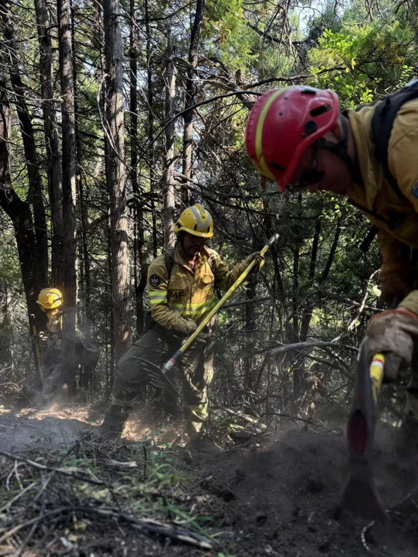 ALARMA EN CHUBUT: REACTIVACIÓN DE INCENDIOS FORESTALES AMENAZA EL PARQUE NACIONAL LOS ALERCES Y PONE EN ALERTA A ESQUEL