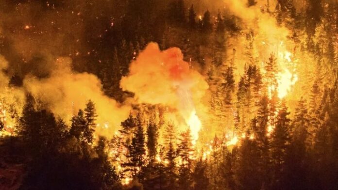 2026 - Incendios en Chubut