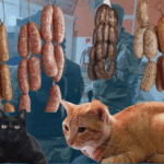 Salta: Allanaron una carnicería que vendia embutidos con carne de gatos