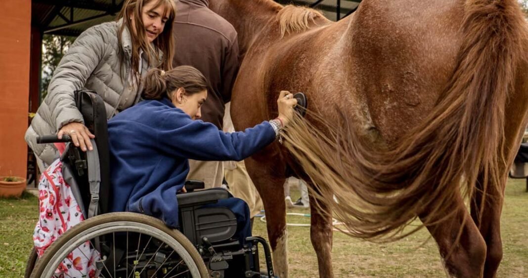 Río Ceballos ofrece jornadas gratuitas de equinoterapia para personas con discapacidad mayores de 6 años Río Ceballos ofrece jornadas gratuitas de equinoterapia para personas con discapacidad mayores de 6 años