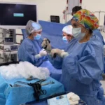 Historia médica en Córdoba: realizaron las primeras cirugías digestivas laparoscópicas en recién nacidos en un hospital público provincial