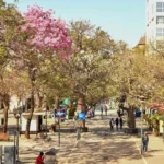 Córdoba: Un jueves otoñal con sol y temperaturas agradables