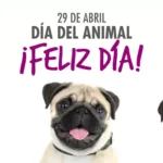 29 de abril: Por qué se celebra hoy el Día del Animal en Argentina