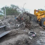 Villa La Tela: El barrio que transforma basurales en pulmones verdes