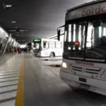 Conflicto en el transporte interurbano: Empresas dejarán de trasladar pasajeros gratis